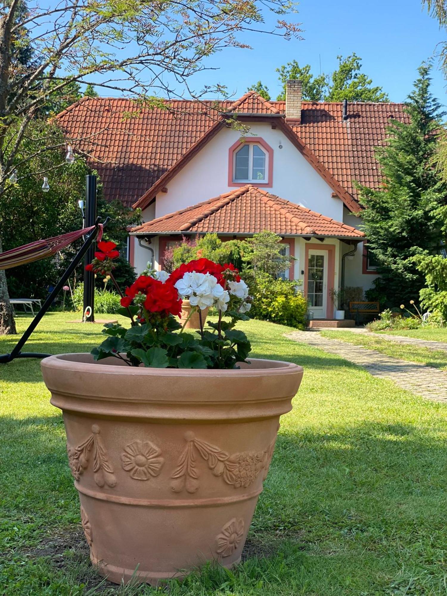 Vila Evio Třeboň Dış mekan fotoğraf